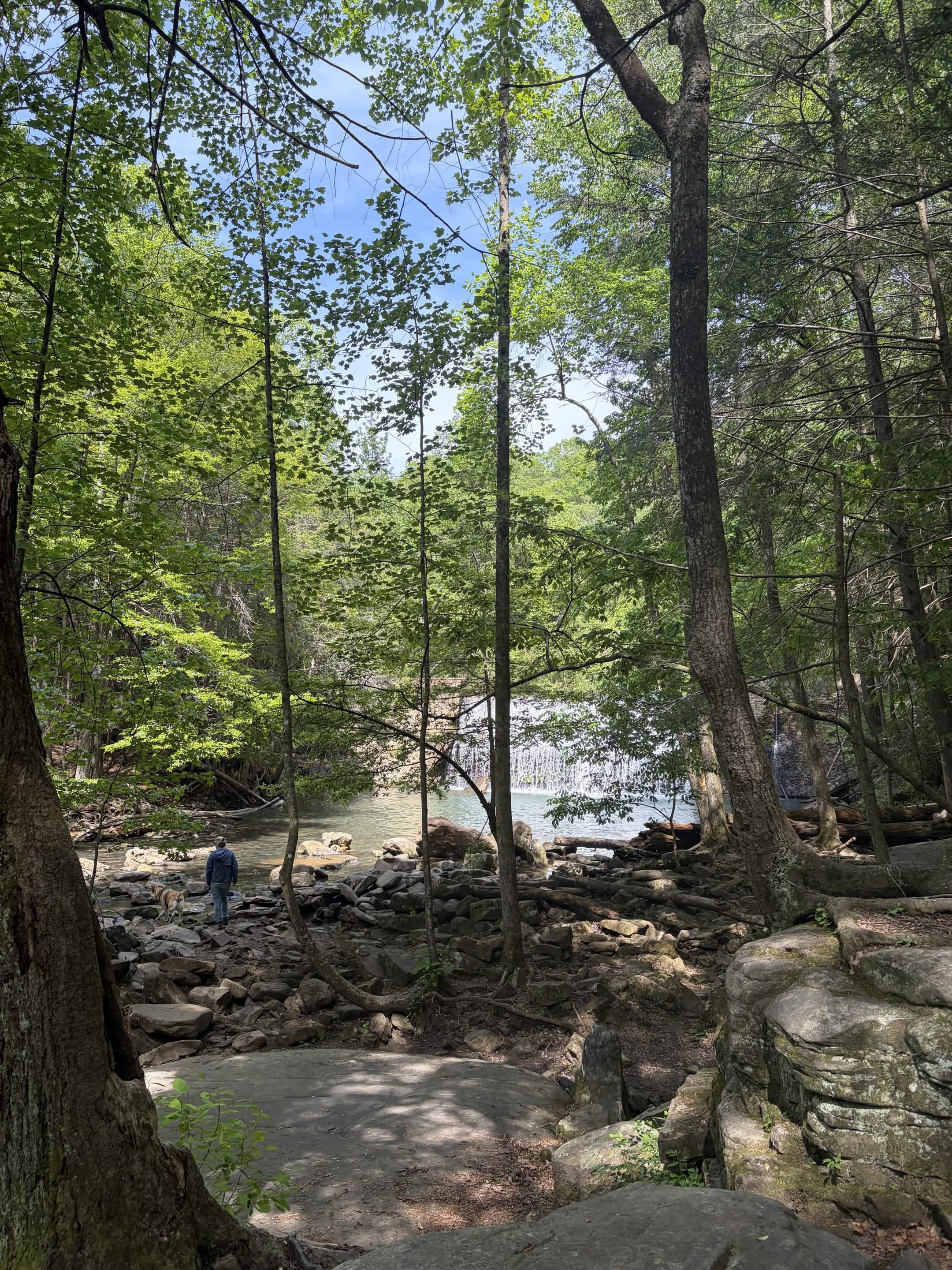 accidentally romanticizing a random trip